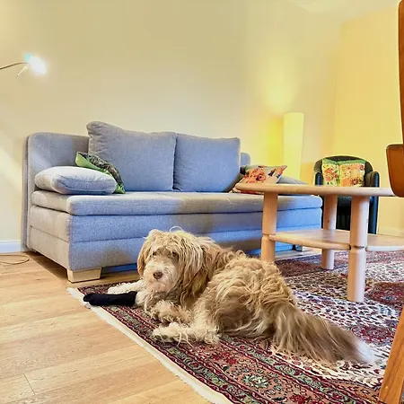 Claudis Seeland - Komfortabler Aufenthalt Am Bodensee In Kressbronn Appartamento